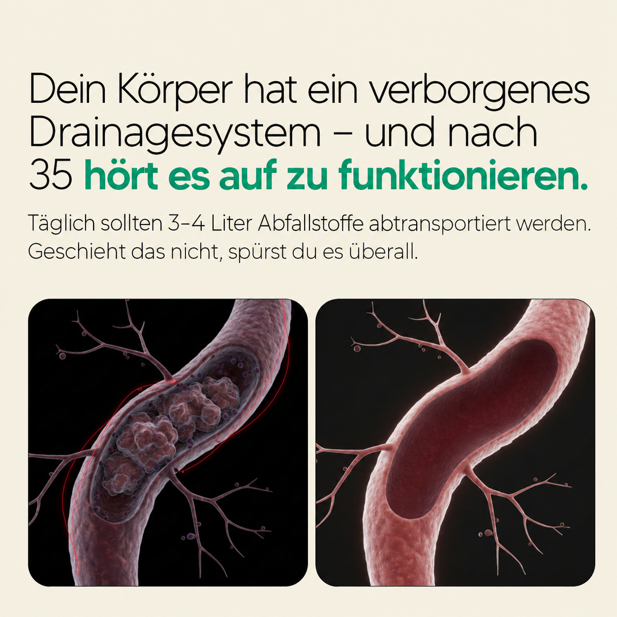 COALO™ Lymphdrainage Kapseln
